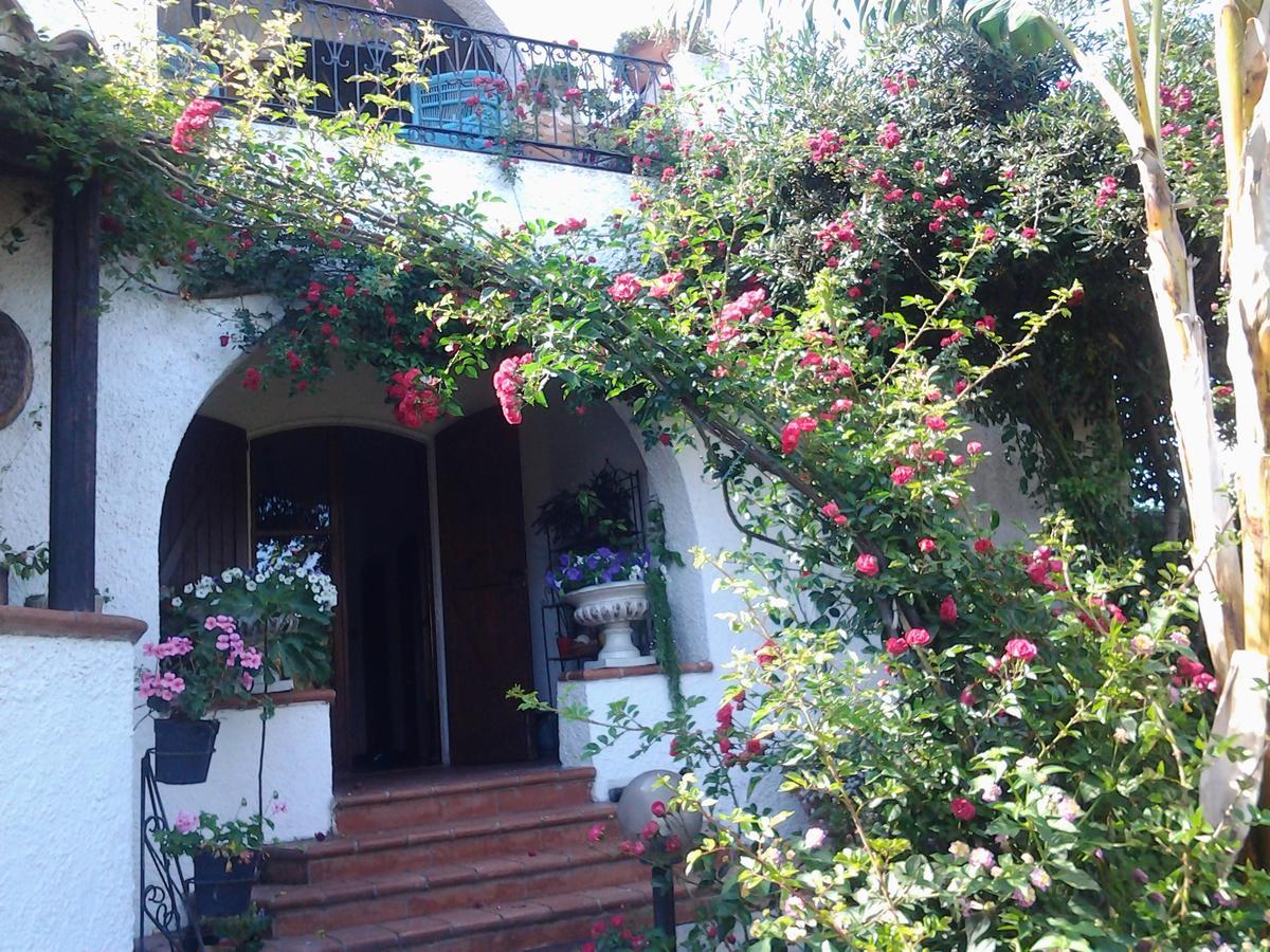 B&B Villa Piera Montecucco Stintino Exterior photo